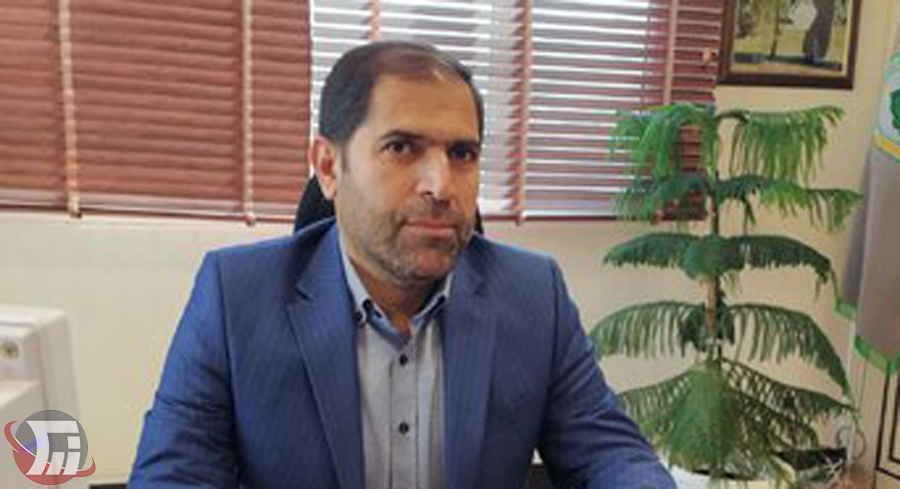 درختکاری، حرکتی نمادین برای حفظ حیات آینده است