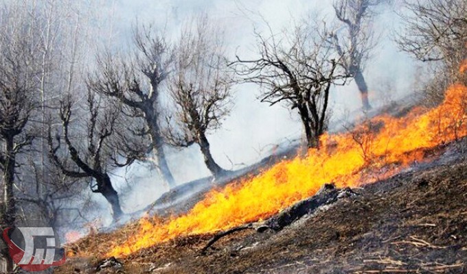 آتش‌سوزی در «سفیدکوه» خرم‌آباد