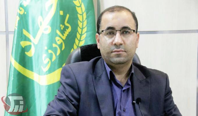 اسفندیار حسنی مقدم رئیس سازمان جهاد کشاورزی لرستان