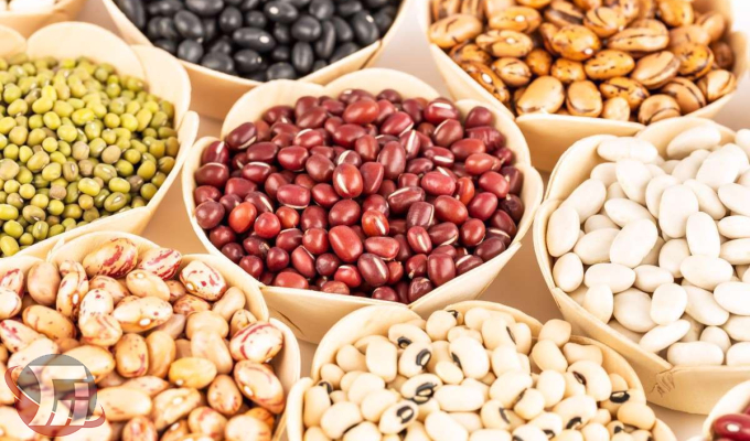 انجام ۷۷ درصد تولیدات کشاورزی لرستان در اراضی آبی 