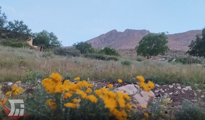 توسعه گردشگری روستای «وناب» دلفان 