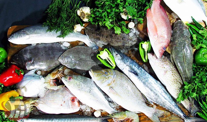 افزایش 4کیلوگرمی سرانه مصرف ماهی در لرستان 