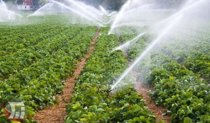 تولید سالانه سه میلیون تُن محصول کشاوری در لرستان