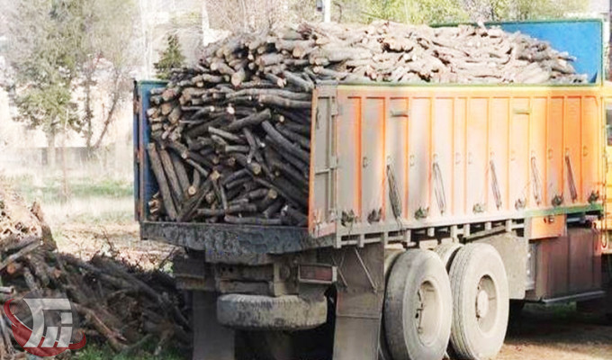 توقیف کامیون حامل ۱۵ تن چوب قاچاق