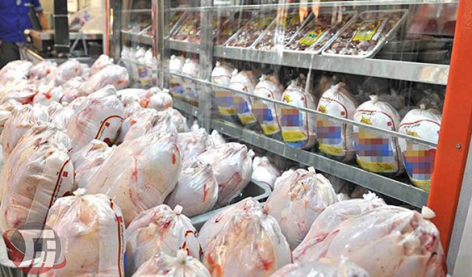 خرید 200 تن مرغ مازاد تولیدکنندگان لرستانی
