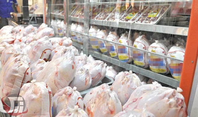 توزیع روزانه ۱۵ تن مرغ منجمد در خرم‌آباد
