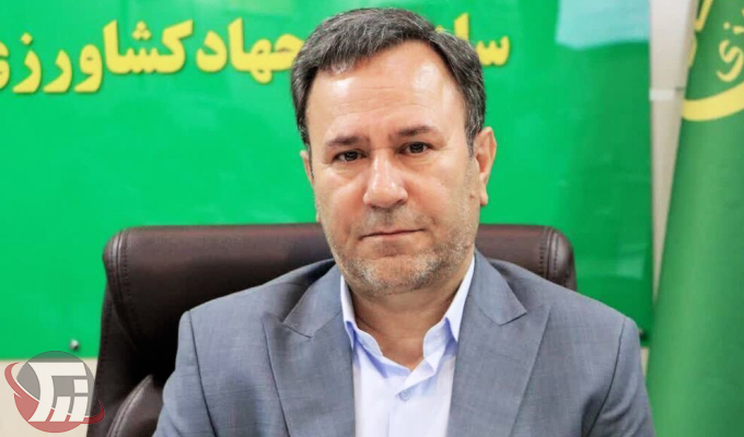 ۴ هزار تن عسل سالانه در لرستان تولید میشود