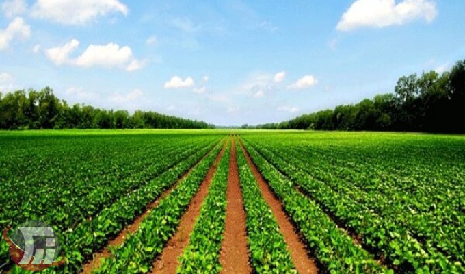 بهره‌برداری از ۶ طرح کشاورزی و دامداری در خرم‌آباد