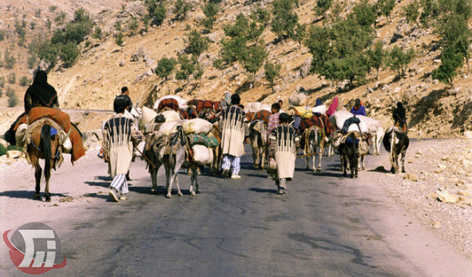 آغاز کوچ عشایر در لرستان