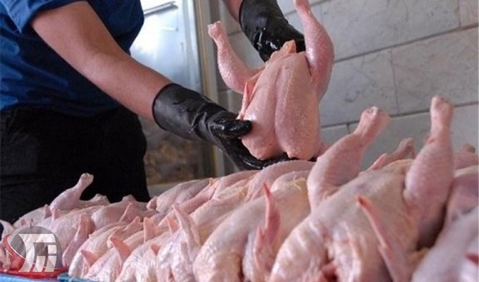 توزیع روزانه ۲۸ تن گوشت مرغ گرم در بروجرد