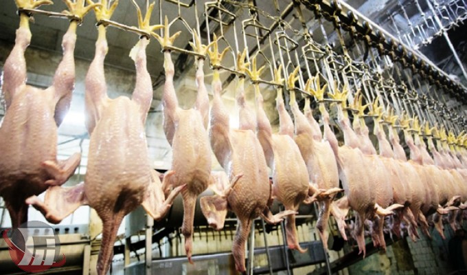 کشف ۱۰تُن گوشت مرغ کشتارگاهی در الیگودرز