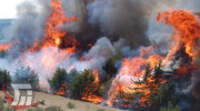 مهار آتش سوزی اراضی جنگلی «دره شیر بستره» ویسیان