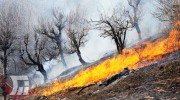 آتش‌سوزی در «سفیدکوه» خرم‌آباد