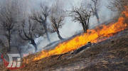 مهار آتش‌سوزی در اراضی ملی «معمولان» و «چگنی»