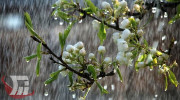 ثبت بیشترین بارندگی لرستان در «رومشکان»