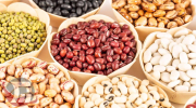 انجام ۷۷ درصد تولیدات کشاورزی لرستان در اراضی آبی 