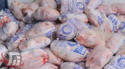 ذخیره سازی مرغ گرم در لرستان برای ایام عید