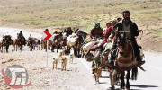 مرمت ۱۵۰ کیلومتر راه عشایری در لرستان