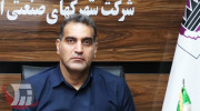 فرزاد محمدی مدیرعامل شرکت شهرک‌های صنعتی لرستان