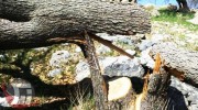 قطع ۶۷۰۰ اصله درخت بلوط در «کهمان» سلسله