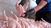 توزیع روزانه 120 تُن گوشت مرغ گرم در لرستان