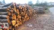 کشف ۵ تُن چوب قاچاق در سلسله 