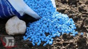 ذخیره بیش از پنج هزار تن کود شیمیایی در لرستان