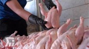 توزیع روزانه ۲۸ تن گوشت مرغ گرم در بروجرد