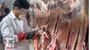 تولید سالانه ۳۲ هزار تن گوشت قرمز در لرستان