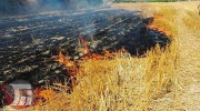 ممنوعیت آتش زدن بقایای محصولات کشاورزی