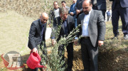 کاشت ۵۰۰ هکتار درخت در اراضی شیب‌دار لرستان